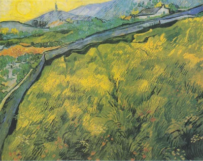 Enclosed Wheat Field with Rising Sun