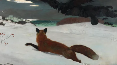 Fox Hunt