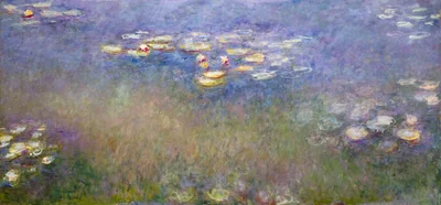 Water Lilies