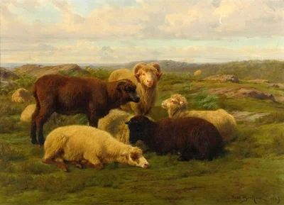Sheep in a Meadow