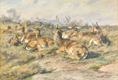 Étude de cerf