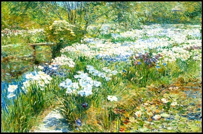 The Water Garden