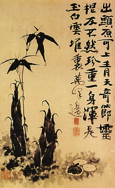 Bambooshoots