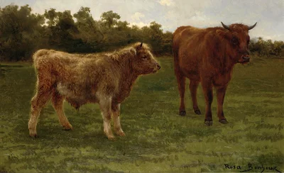 Two cows grazing
