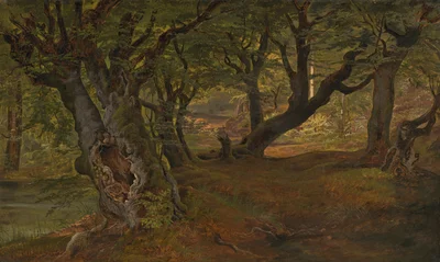 View of Bregentved Forest, Sjaeeland