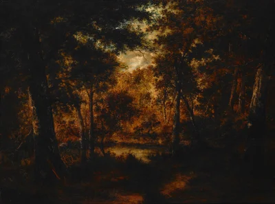 The Fairy Pool
