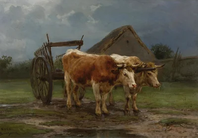 Oxen Pulling A Cart