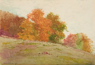 Autumn Trees
