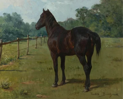 A Bay Horse in a Paddock