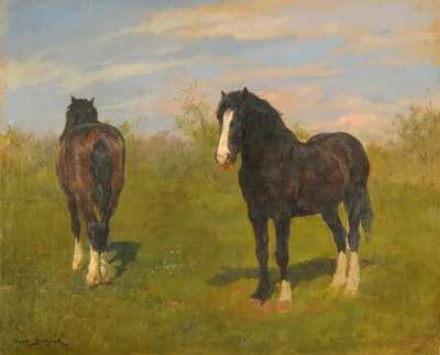 Horses grazing