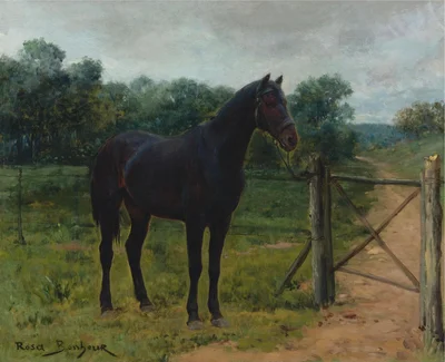 Horse Tied to a Gate