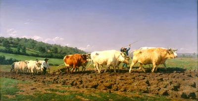 Ploughing in the Nivernais