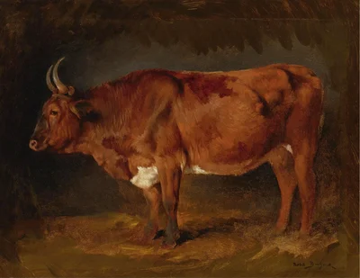 A Brown Cow in Profile