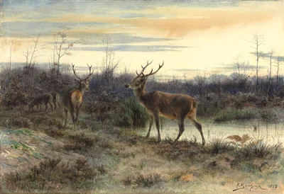 Ciervos en el bosque de Fontainebleau