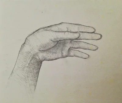 The Study of the Hand