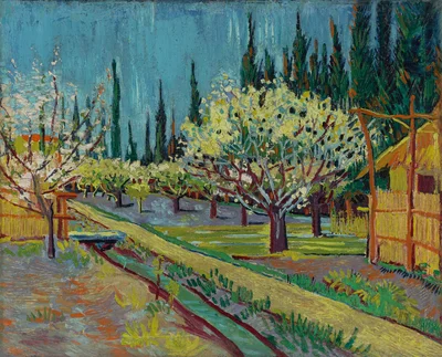 Verger en fleurs, entouré de cyprès