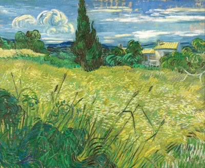 Champ de blé aux cyprès