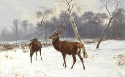 Cerf et biche dans un paysage enneigé