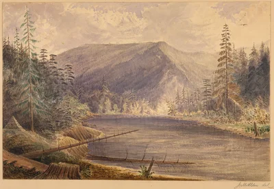 Mooyie River looking South (down) from the 49th parallel