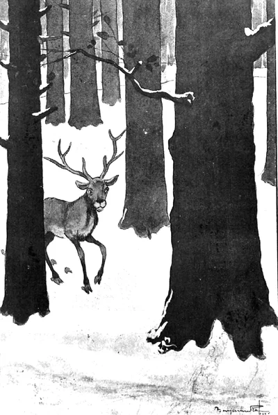 Jules Renard, Histoires naturelles, Le cerf